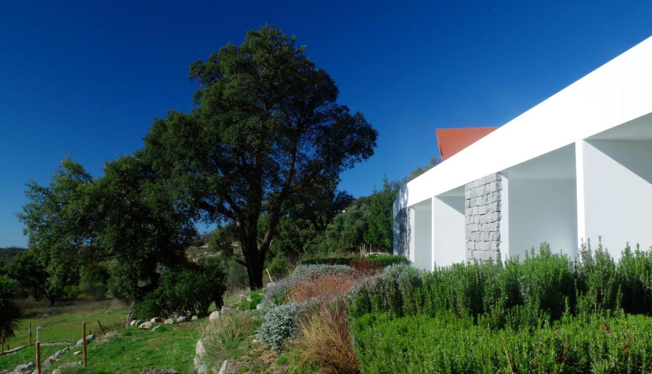 Villa Vinha Do Gaio Montes de Cima Exterior foto