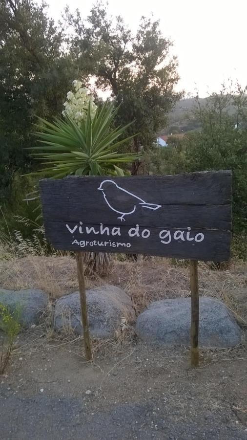 Villa Vinha Do Gaio Montes de Cima Exterior foto