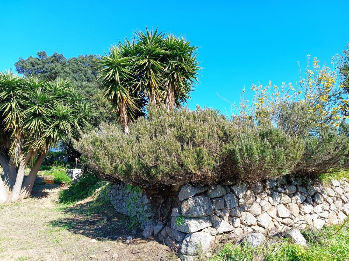 Villa Vinha Do Gaio Montes de Cima Exterior foto