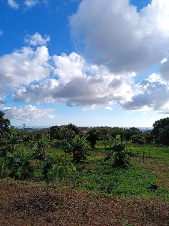 Villa Vinha Do Gaio Montes de Cima Exterior foto